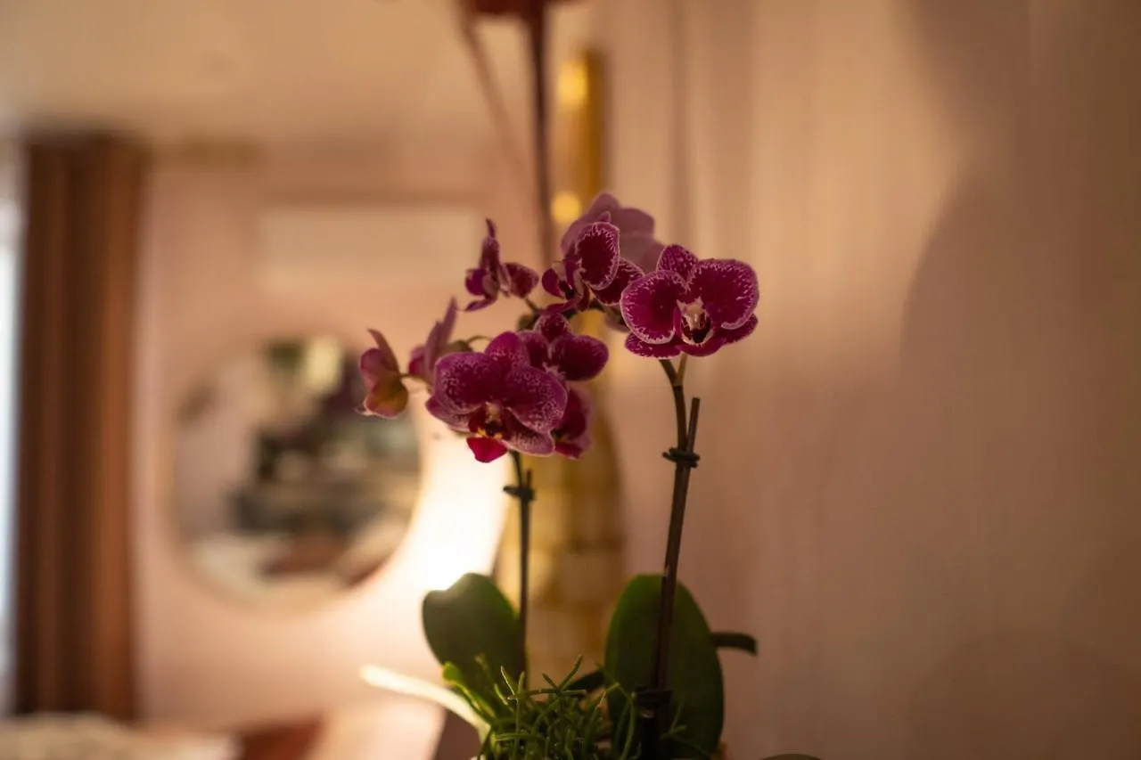 公寓 Studio Coeur De Ville Sanary Tres Cosy Parking