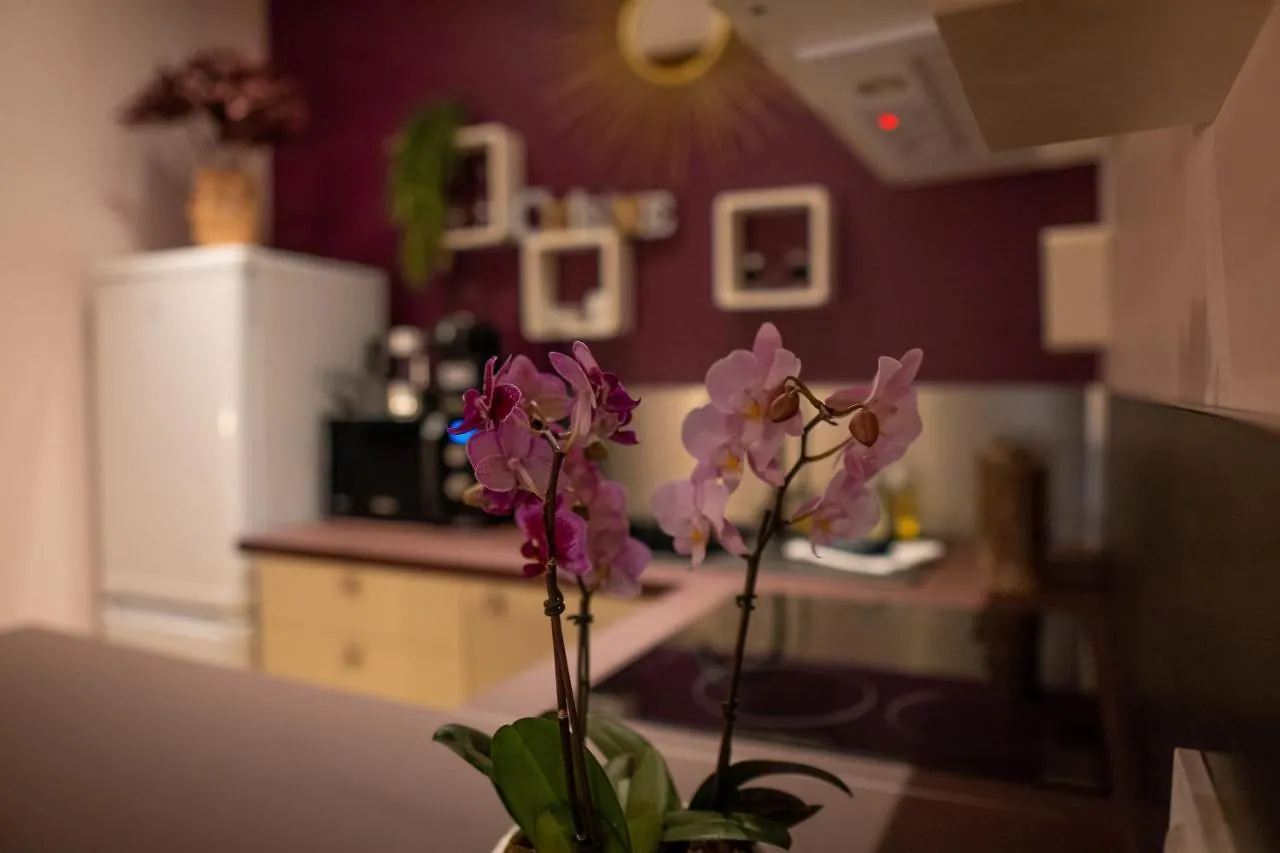 Studio Coeur De Ville Sanary Tres Cosy Parking 滨海萨纳里